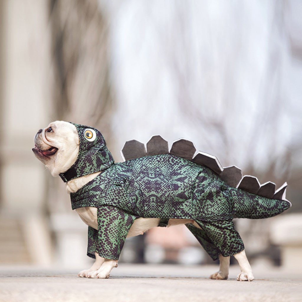 Doggie Dinosaur Costume - Prehistoric Pup Fun